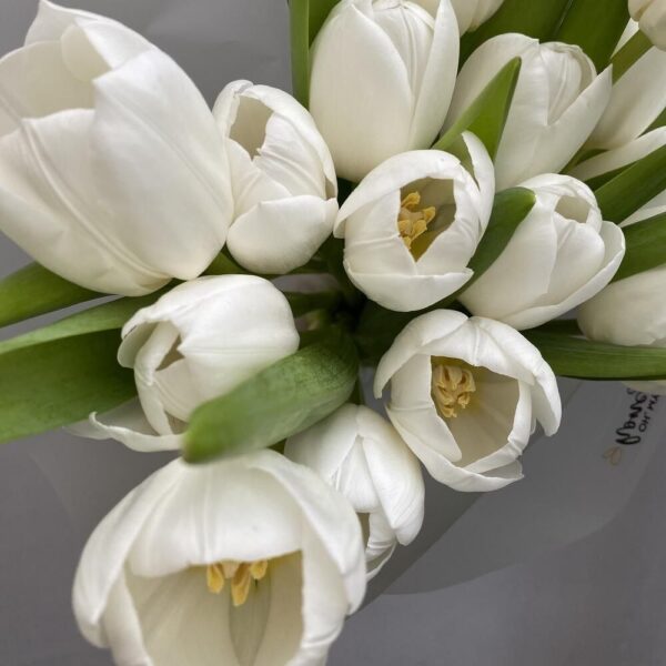 Белые тюльпаны 15 шт / 1295 id