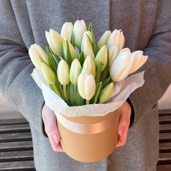 Белые тюльпаны в коробке / 2566 id
