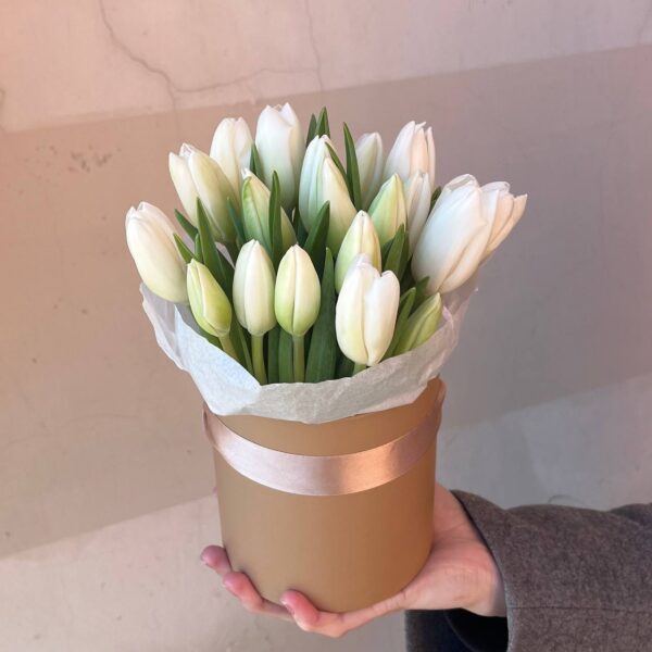 Белые тюльпаны в коробке / 2566 id